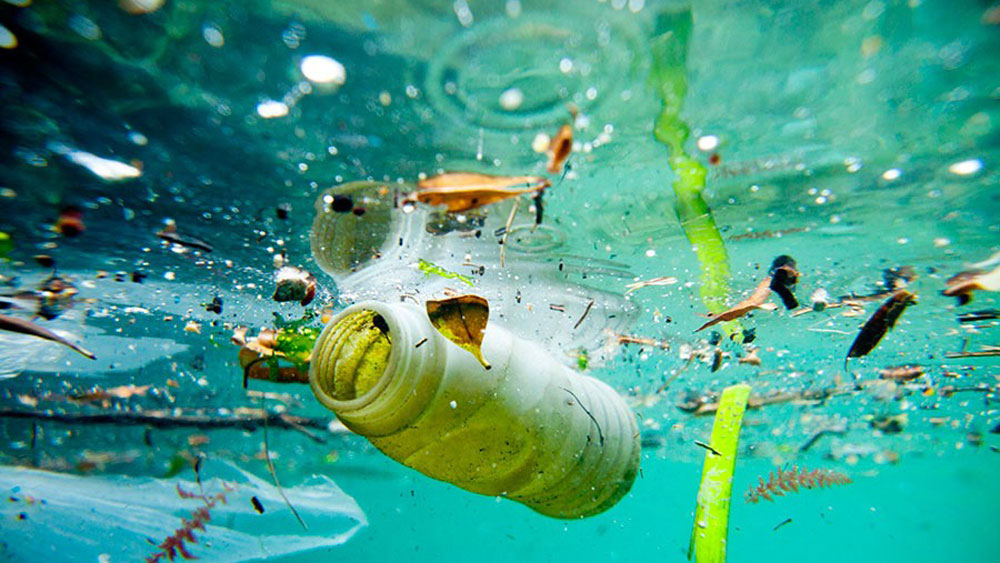 Taking Action against Ocean Pollution: Solutions for a Cleaner Future