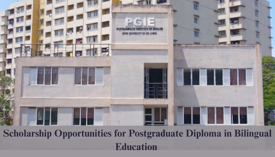 Call for Applications: Postgraduate Diploma in Bilingual Education