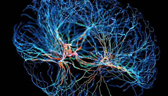 Rewiring the Brain : Neuroplasticity Superpowers