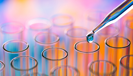 Step into the World of Science with UCL’s Monash College Diploma