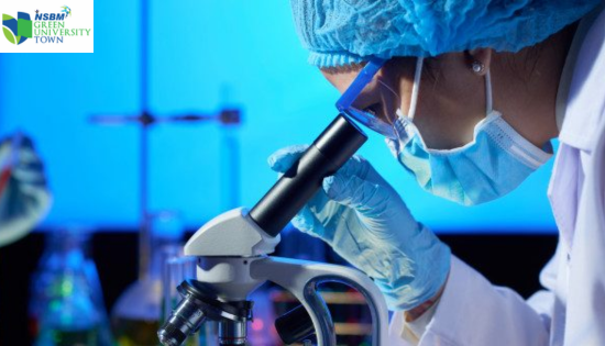 BSc (Hons) in Biomedical Science at NSBM Green University