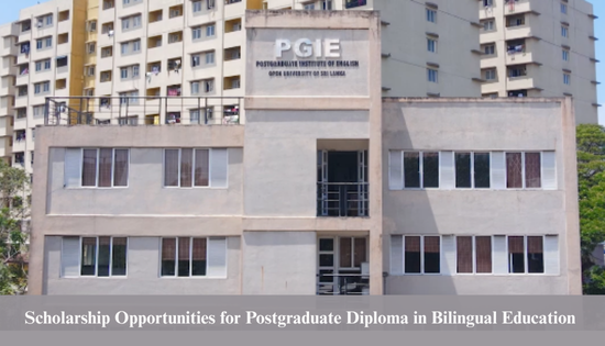 Call for Applications: Postgraduate Diploma in Bilingual Education