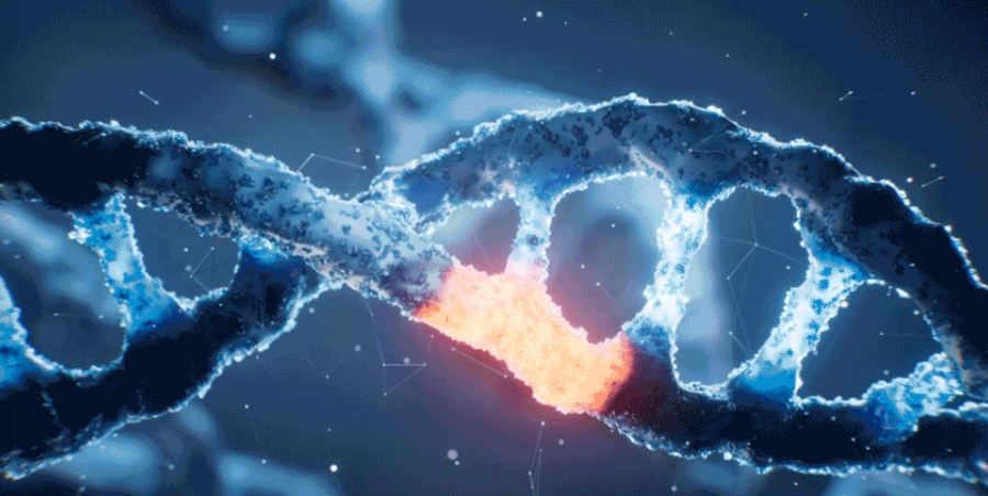 New AI Model Promises to Speed Up Rare Disease Diagnosis